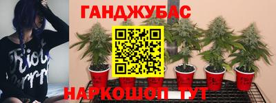 индика Беслан