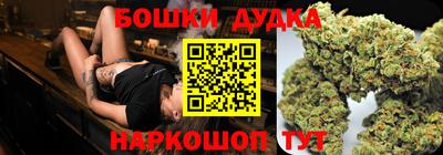 индика Беслан