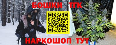 индика Беслан