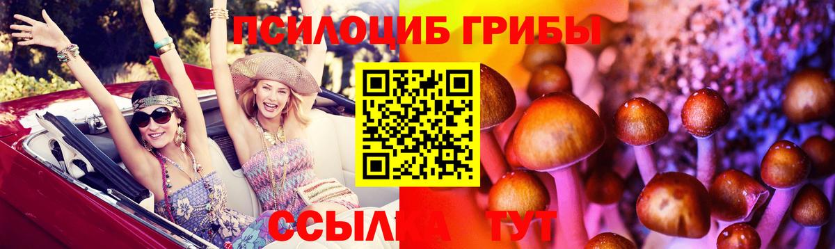 Псилоцибиновые грибы Psilocybe  Вход с VPN  Карачаевск 